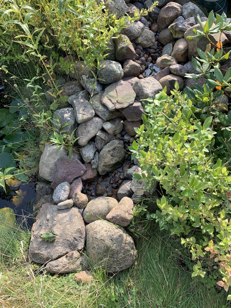 Archivbild vom August 2023
Fertig gestellter "Folien-Bachlauf"