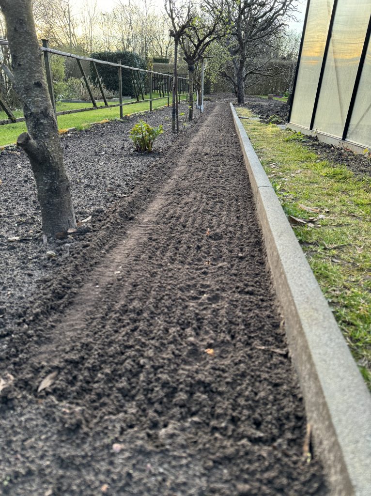 Aus der richtigen Perspektive können zwölf Meter unendliche Weiten sein: Am Rasenkantenstein die Zwiebeln und links davon die Möhren