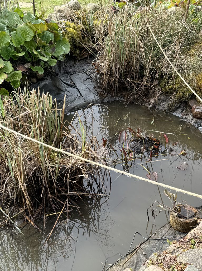 Blick in die wasserlose Bucht