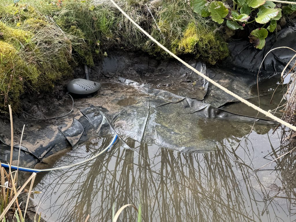 Im Flachbereich frei liegende Pumpe für unsere „Quelle“