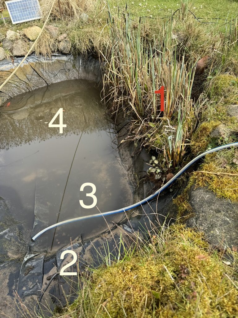 Die vier Zonen der zum Gartenhäuschen hin gelegenen Teichhälfte