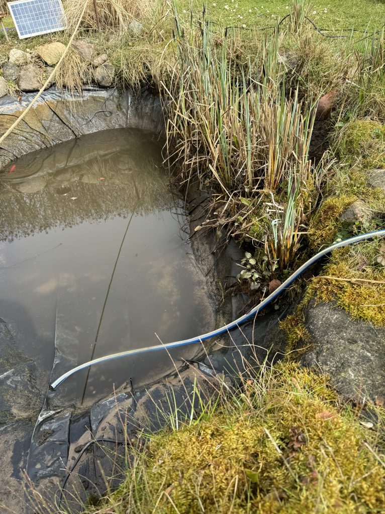 Am oberen Rand des Bildes erkennt man, wie hoch das Wasser normalerweise im Teich steht