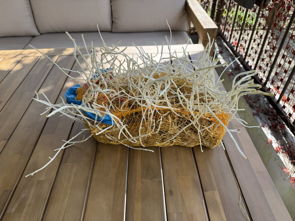 Stark keimende Kartoffeln in einem Netz