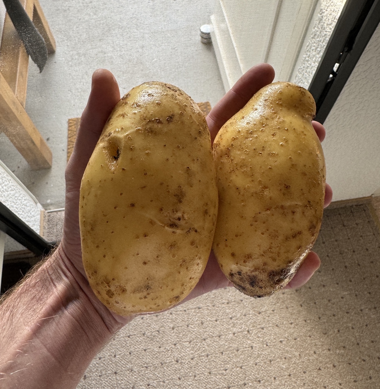 Foto vom 21.08.2024: 1 + 1 = 750? In unserem Fall stimmt das :-)