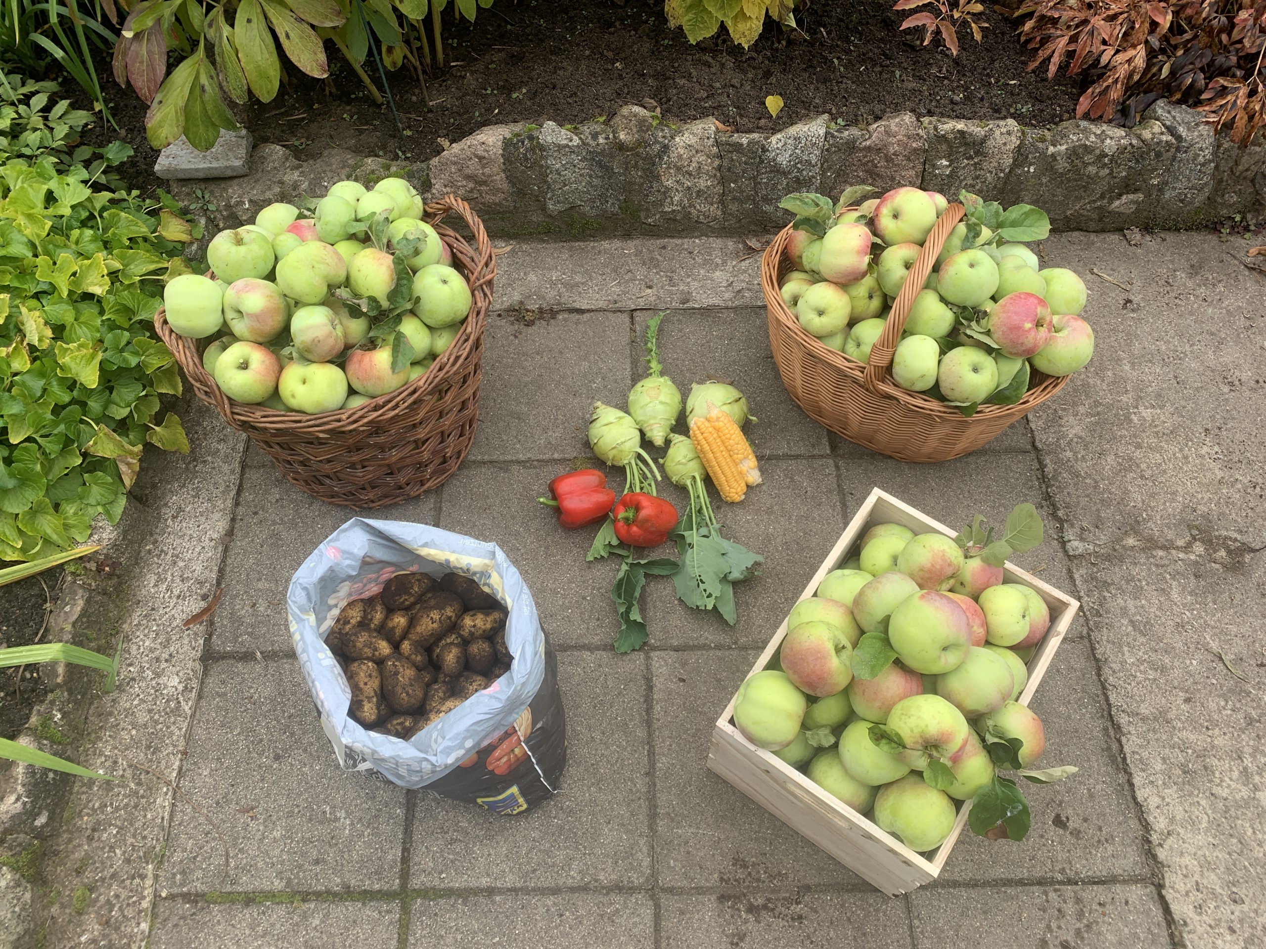 Äpfel, Paprika, Mais, Kohlrabi und Kartoffeln - all das wurde an die Schwester des Autors verschenkt