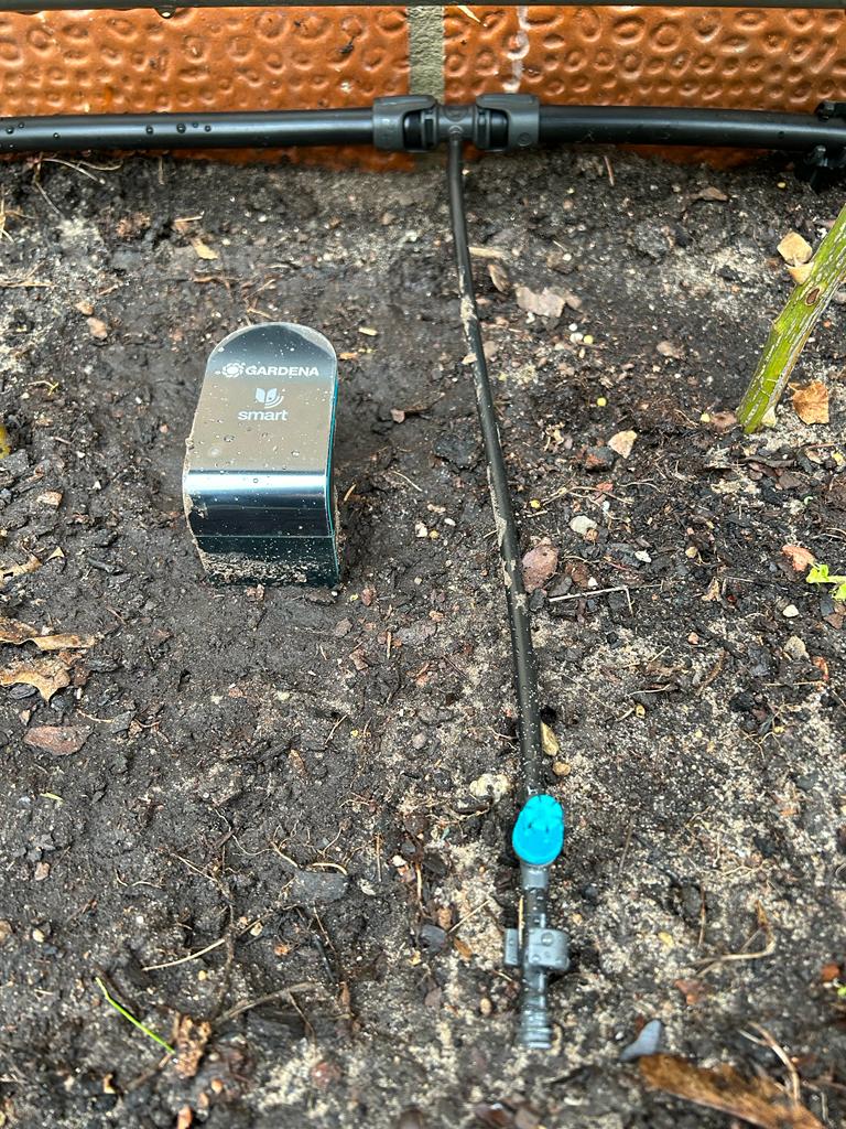 Ein Sensor, in unmittelbarer Nähe zur Bewässerungseinheit platziert