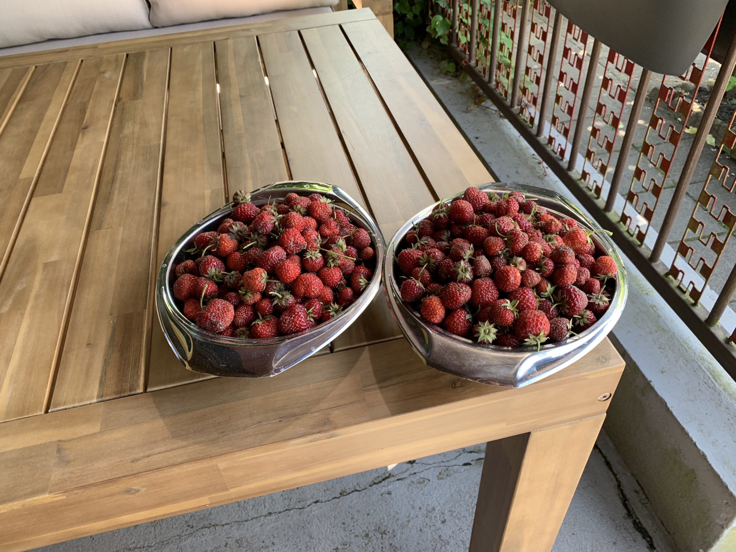 Zwei Schüsseln voller Erdbeeren - Aufnahme vom 24. Juni 2023