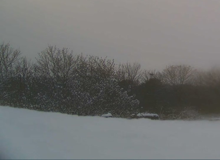 Am 24. November beginnende Schneefälle hüllten die Kolonie in ein weißes Winterkleid